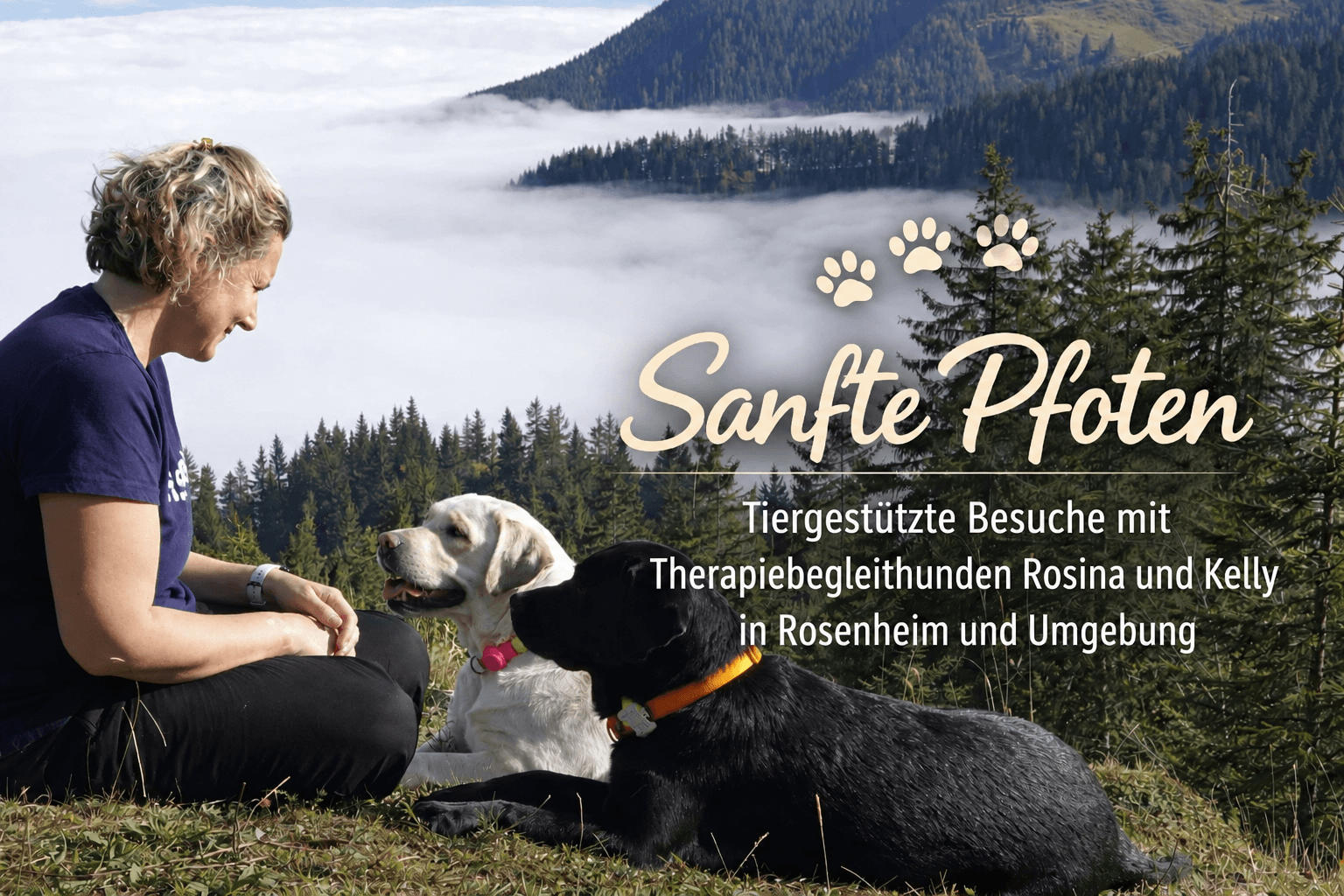Therapiebegleithund im Einsatz bei einer tiergestützten Intervention